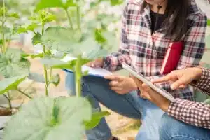 تحصیل رشته مهندسی کشاورزی در هلند